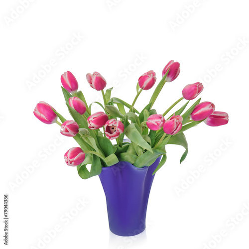 Wallpaper Mural fresh tulips in vase, isolated on white background Torontodigital.ca