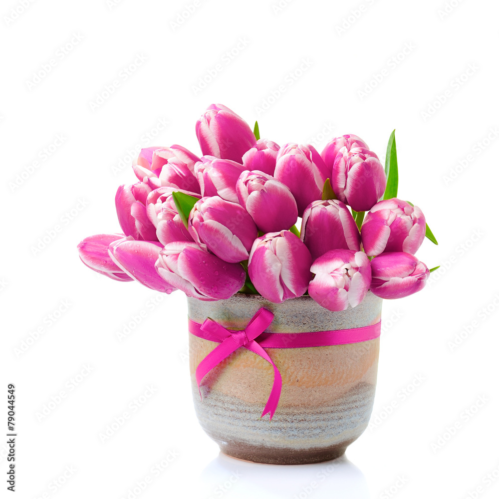 Obraz premium Beautiful pink tulips in a vase on a white background