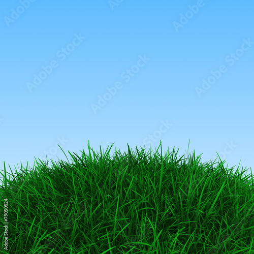 Background with green grass and blue sky, 3d render