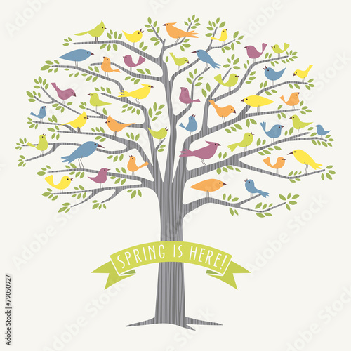 many different birds in a big tree vector drawing