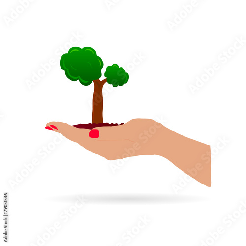 hand holding tree vector illustration