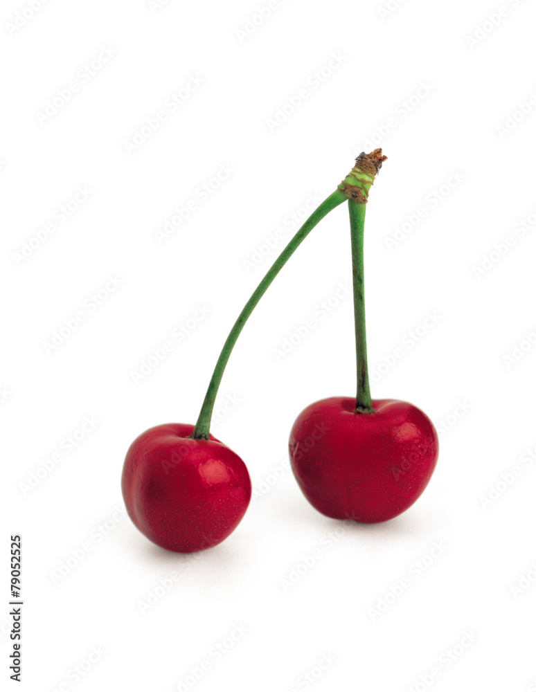 음식이미지 음식이미지