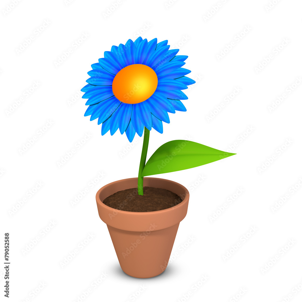 Obraz premium Blume blau auf weiss