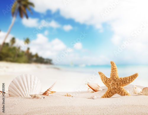 Fototapeta Naklejka Na Ścianę i Meble -  Sandy beach with blank paper for text