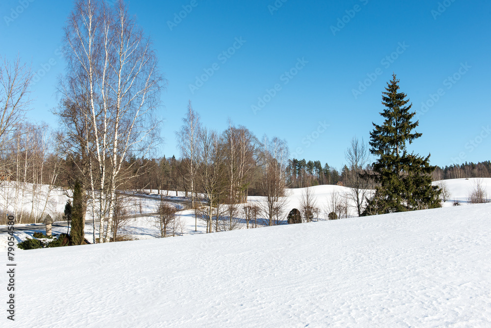 Naklejka premium snowy winter landscape with snow covered trees