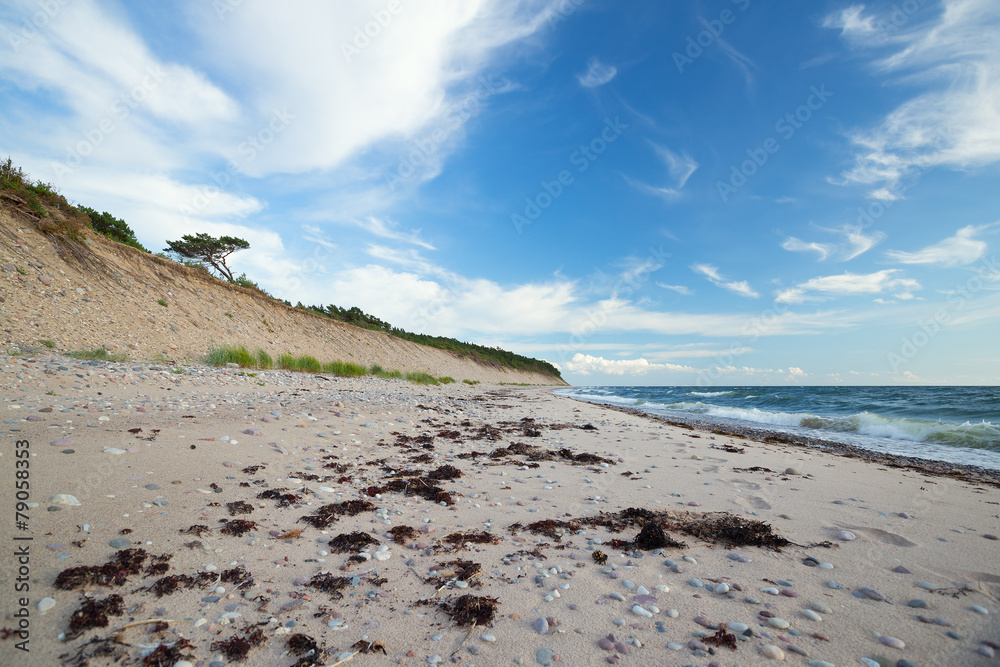 Ocean scene with sandy coastline