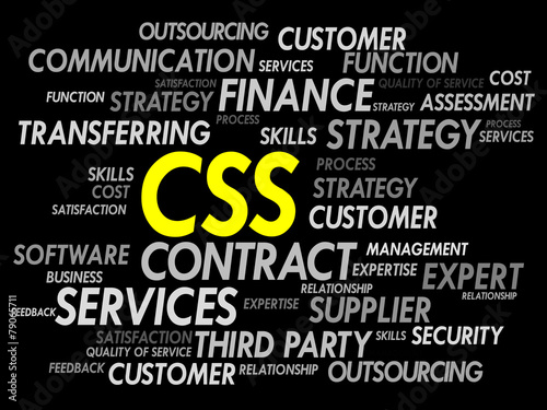 CSS word cloud, business concept