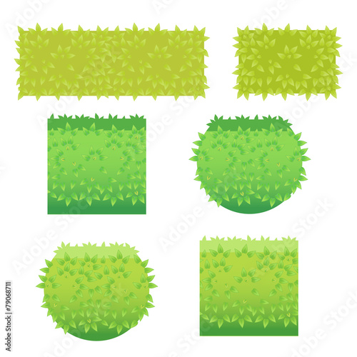 Vector Illustration Of Grass