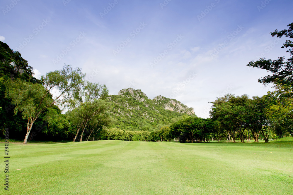 Fototapeta premium Green grass on a golf field