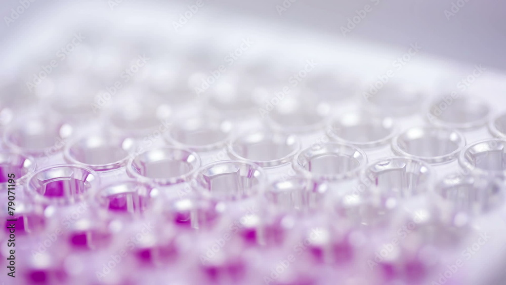 Adding samples to well plate