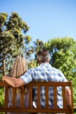 Couple relaxing in the park on bench