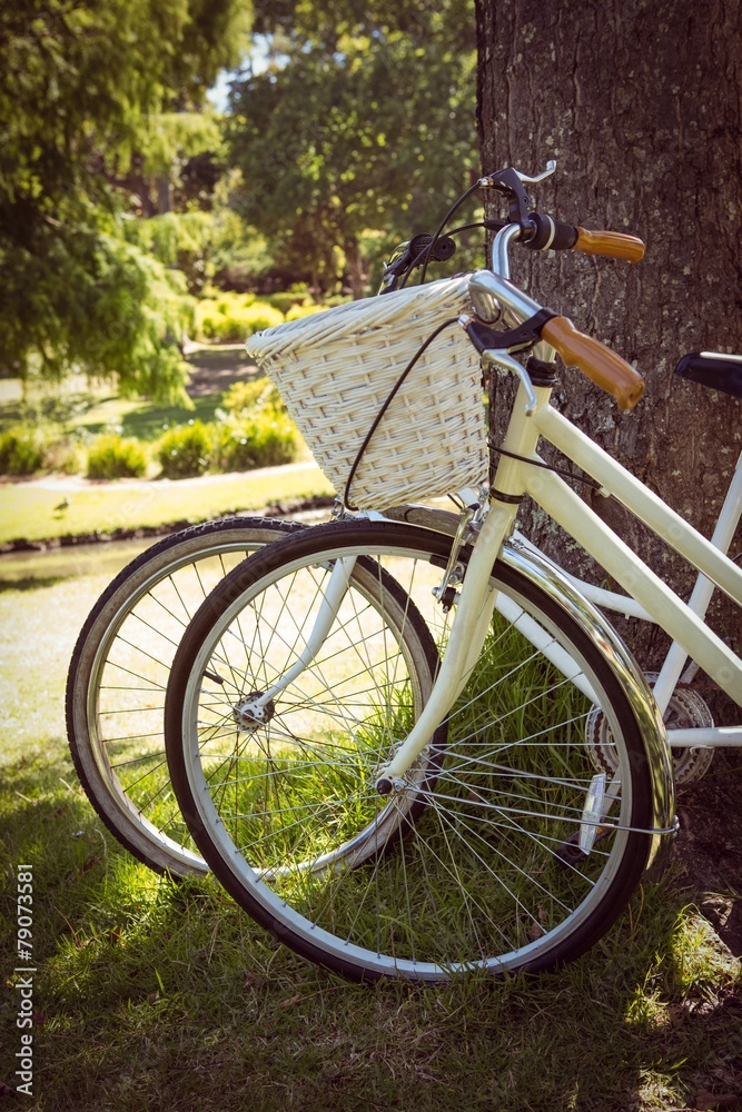 Fototapeta premium Bicycles leaning against tree in park