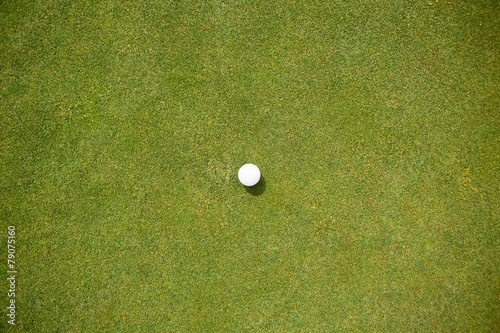 Golf ball on the putting green