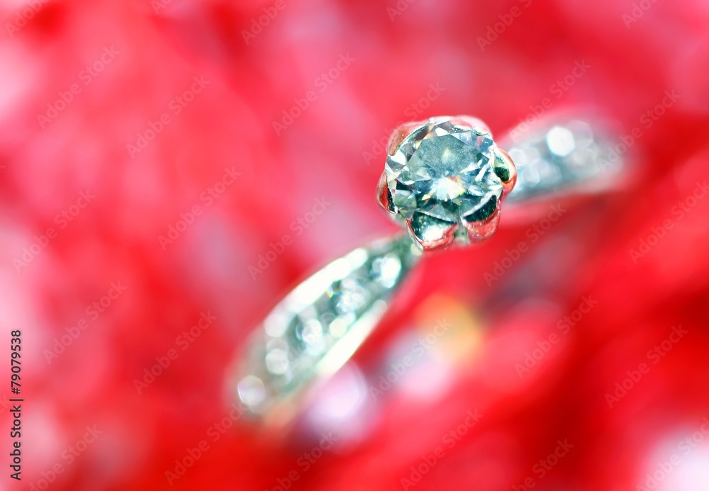 macro diamond ring in white gold and many little diamonds macro diamond ring in white gold and many little diamonds