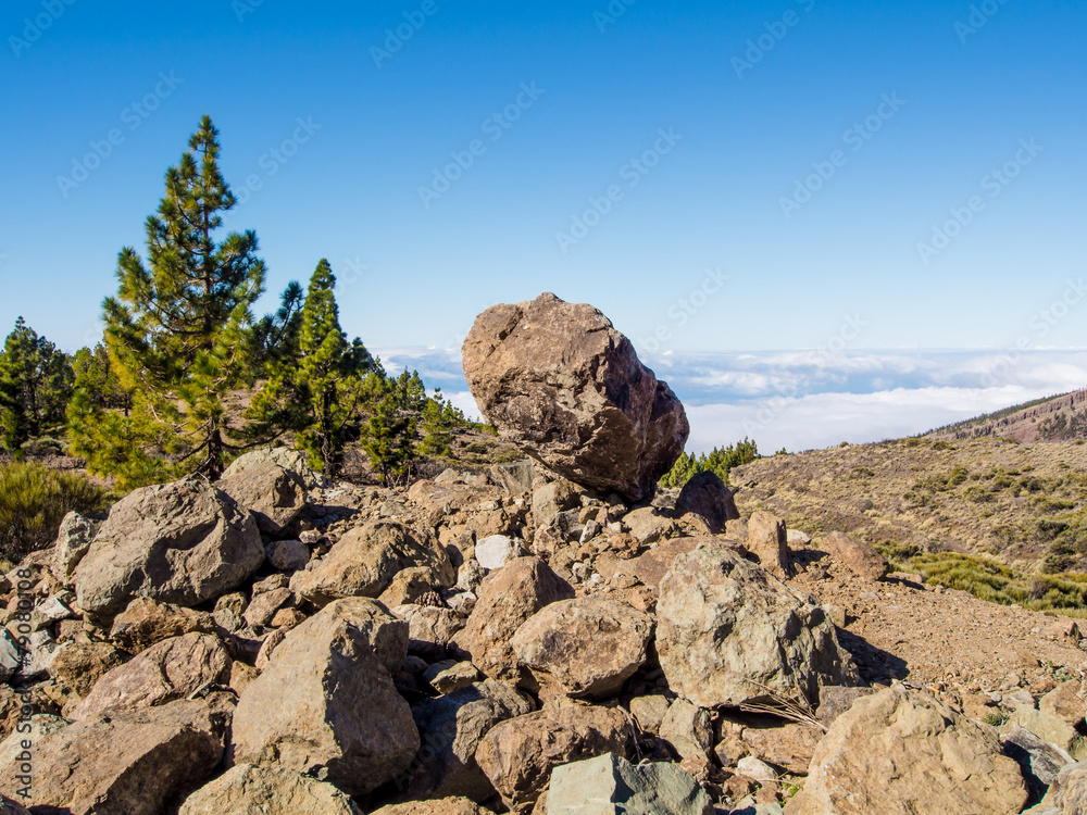 Teide National Park, Tenerife. Canary islands, Spain Teide National Park, Tenerife. Canary islands, Spain
