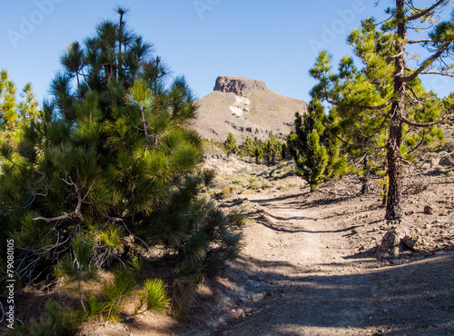 Teide National Park, Tenerife. Canary islands, Spain