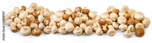 many mushrooms on a white background closeup