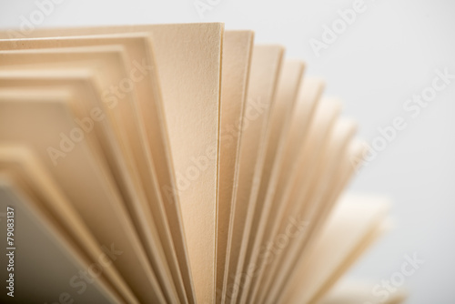 Canvas Print Book under stone on white background.