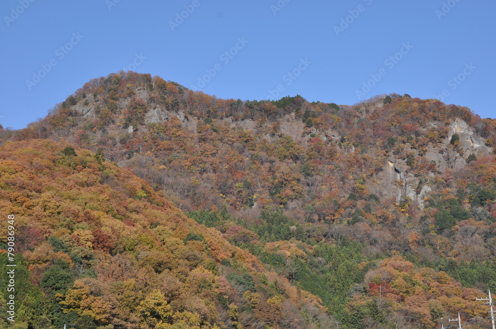 秋の山 紅葉 秋 秋の山 紅葉 秋