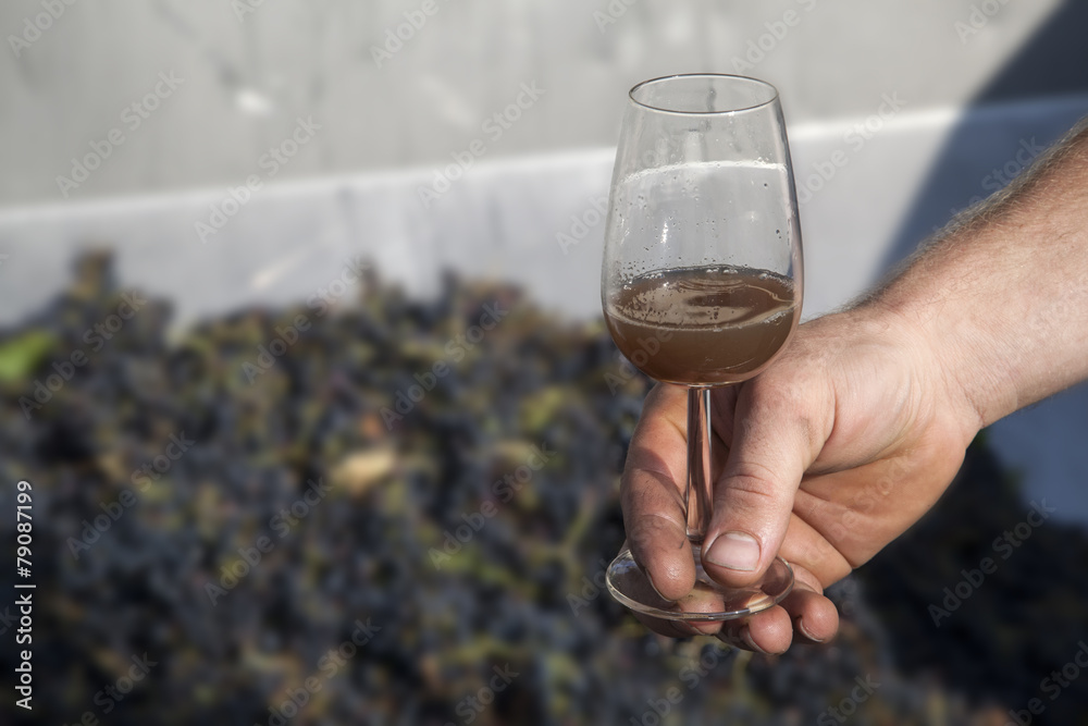 mosto