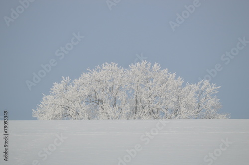 Wallpaper Mural einsamer Insel im Winter Torontodigital.ca