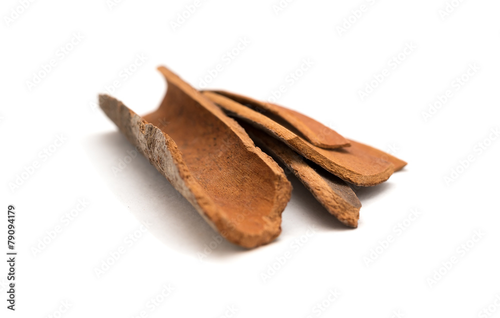 Cinnamon Cinnamon