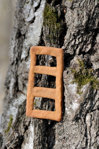 Lestvitsa, Russian rye festive spring cookie on tree photo