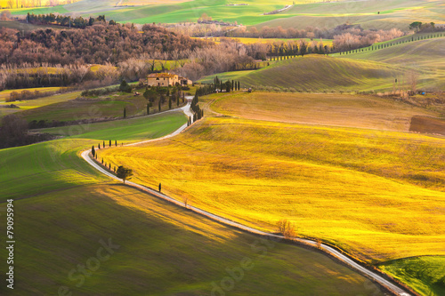 Magnificent Tuscan landscape, fields and meadows warm sun