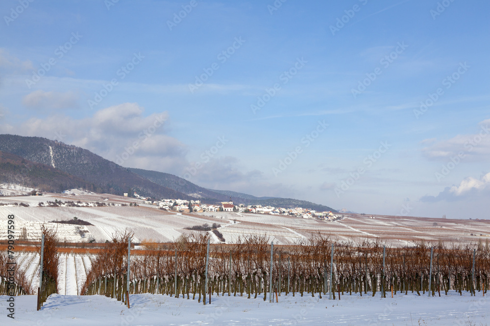 Winter an der Deutschen Weinstraße