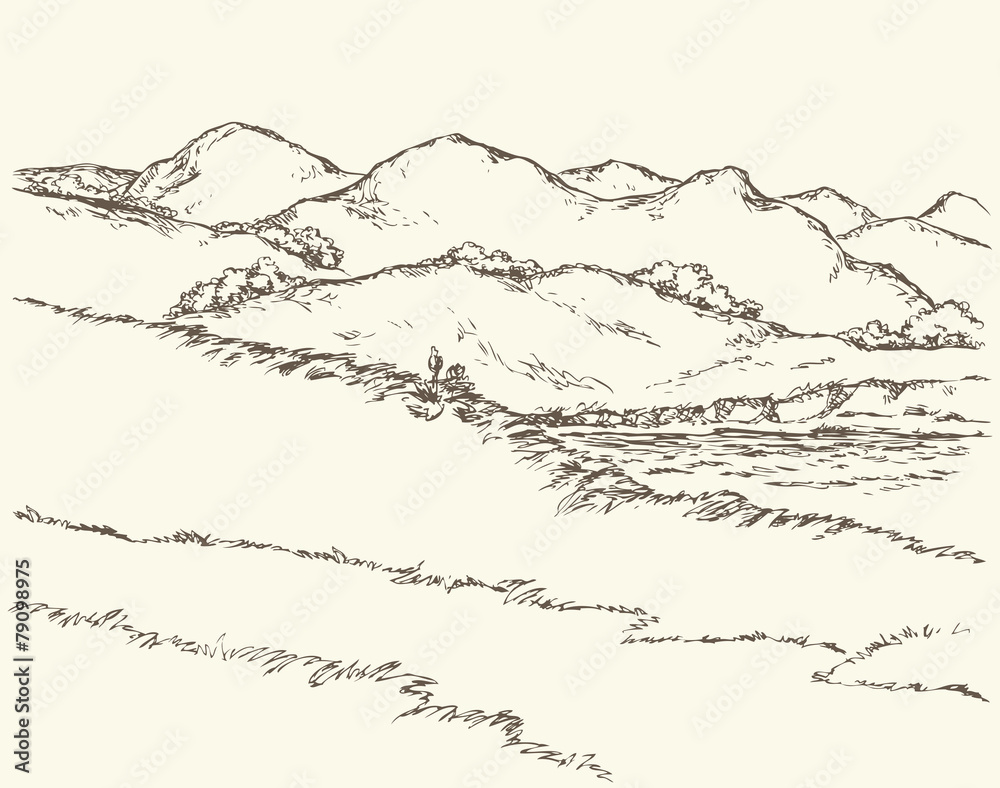 Naklejka premium Summer landscape. Vector sketch