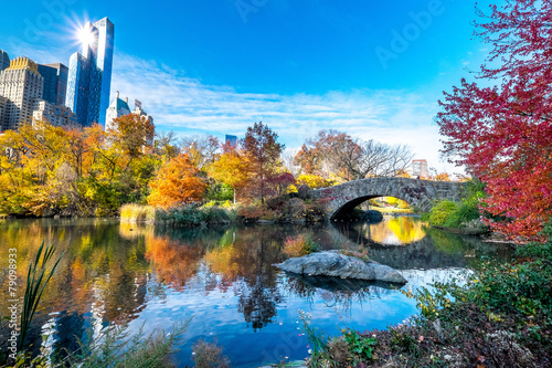 New York City Central Park