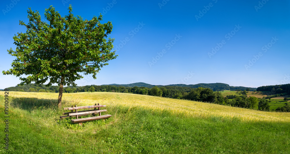 Fototapeta Zielony krajobraz z niebieskim niebem i park ławką