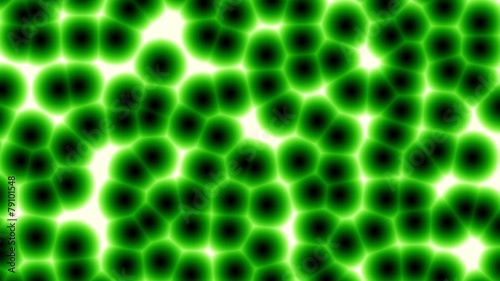 Zellen Zellstruktur Zellteilung Biologie Mikroskop grün photo