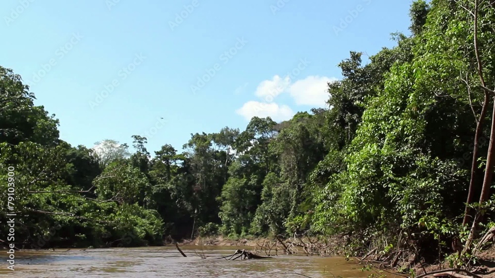 Traveling up Rio Shiripuno deep in the rainforest, Ecuad Traveling up Rio Shiripuno deep in the rainforest, Ecuad