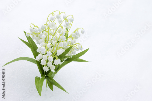Lilies of valley in snow, close-up
