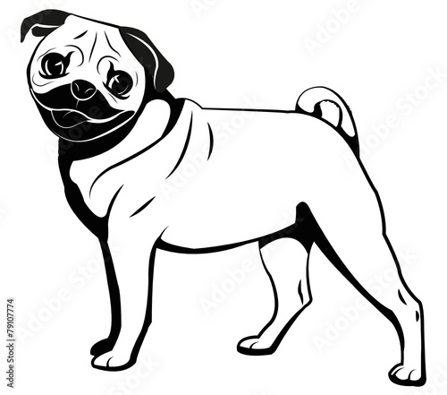 Mops