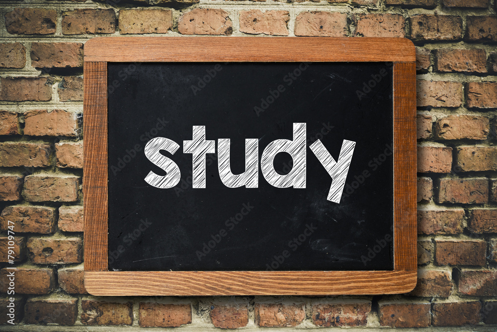 Obraz premium Study word on Blackboard on bricks wall