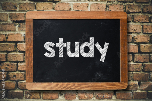 Study word on Blackboard on bricks wall