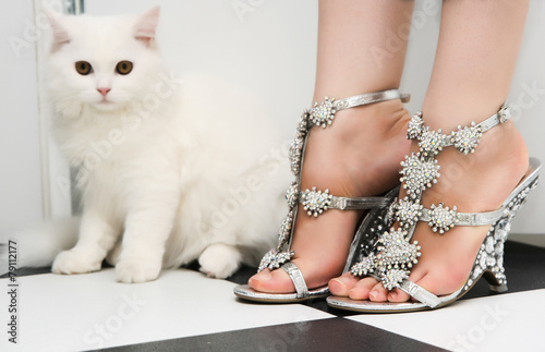 White persian cat standing behind woman in fashion shoes
