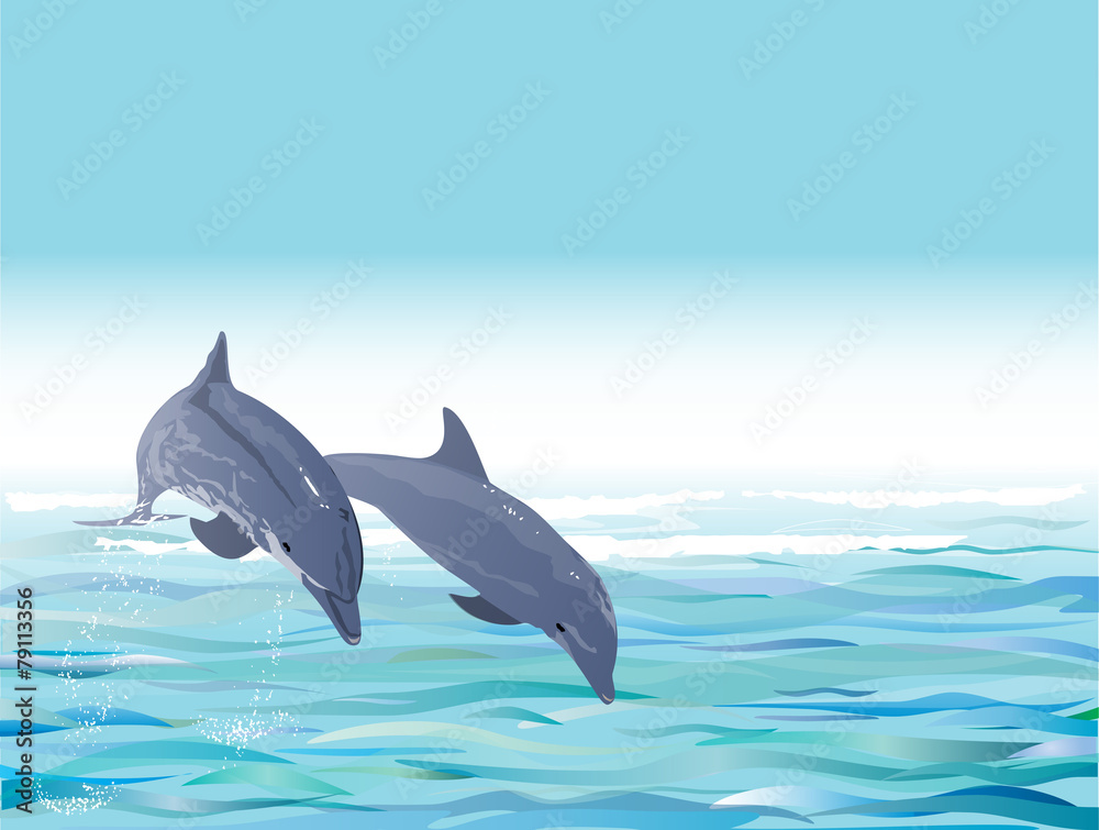 Fototapeta premium Dolphin