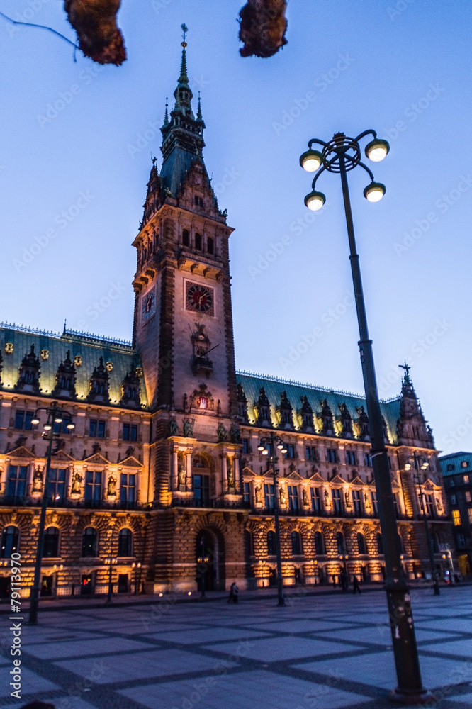 Fototapeta premium Hamburg Rathaus