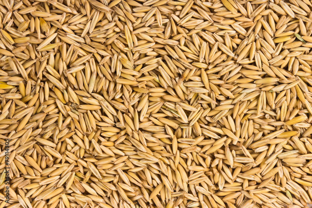 Grains of oats