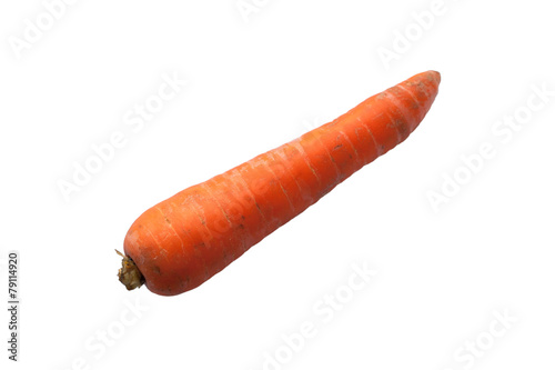 carrot © olvius