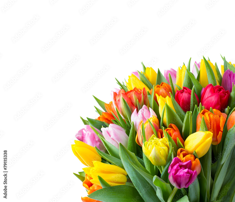 Blumenstrauß vor weißem Hintergrund Blumenstrauß vor weißem Hintergrund