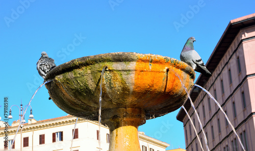 Fountain St. Mary major, Rome, Italy photo