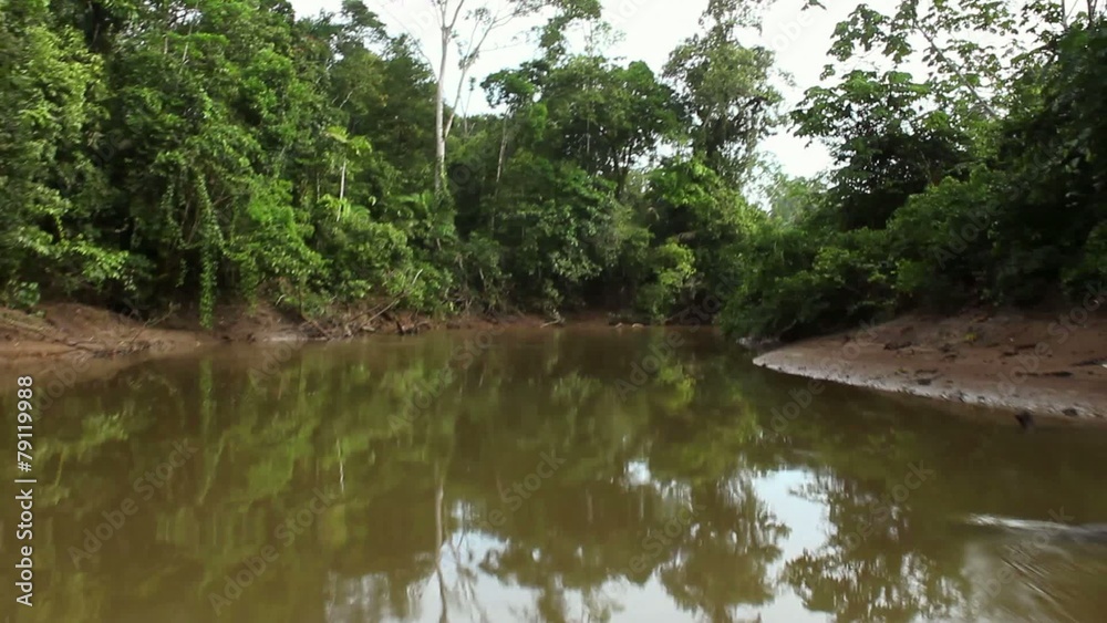 Traveling up Rio Shiripuno deep in the rainforest, Ecuad Traveling up Rio Shiripuno deep in the rainforest, Ecuad