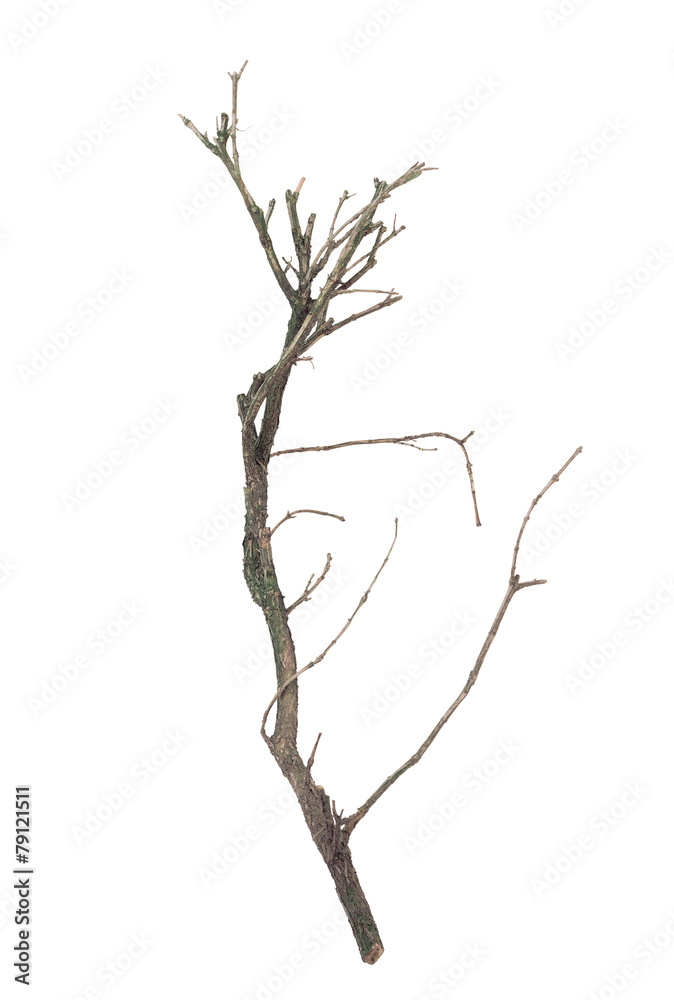 자연이미지 자연이미지