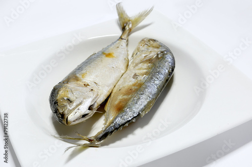 Mackerel fish isolated on a white background