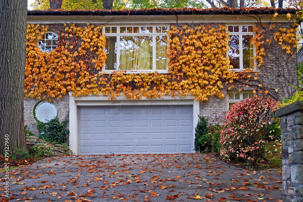 Naklejka premium house with ivy in fall