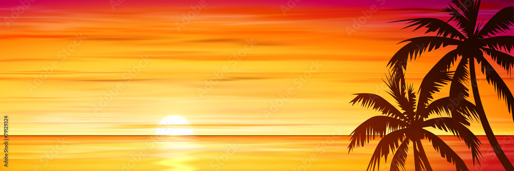 Fototapeta premium Palmy z zachodem słońca, wschód słońca.